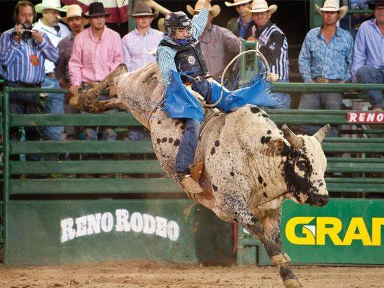 Extreme Rodeo